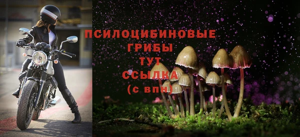 гашик Алексеевка